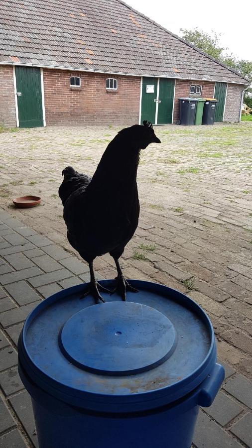 Logeerruimte In Gerenoveerde Boerderij In Wachtum Apartment Luaran gambar