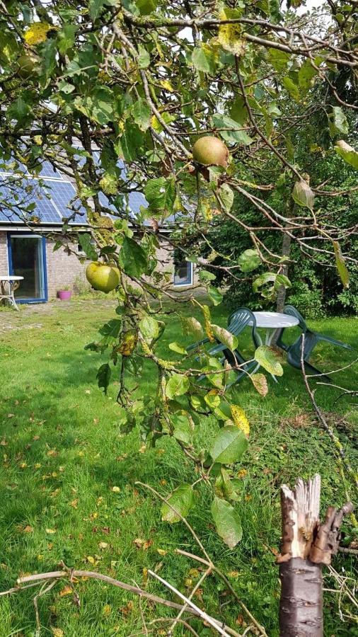 Logeerruimte In Gerenoveerde Boerderij In Wachtum Apartment Luaran gambar