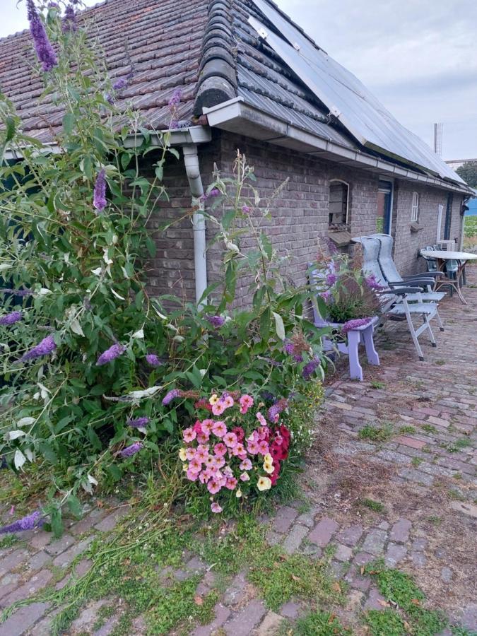 Logeerruimte In Gerenoveerde Boerderij In Wachtum Apartment Luaran gambar