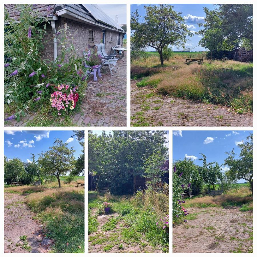 Logeerruimte In Gerenoveerde Boerderij In Wachtum Apartment Luaran gambar